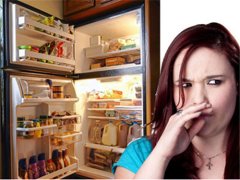 冰箱有异味怎么办，冰箱有异味怎么解决